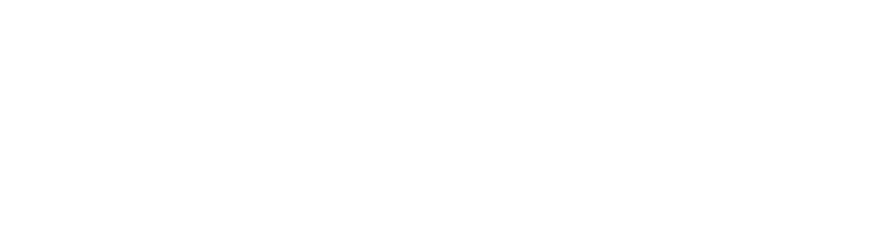 RG Productor de Seguros