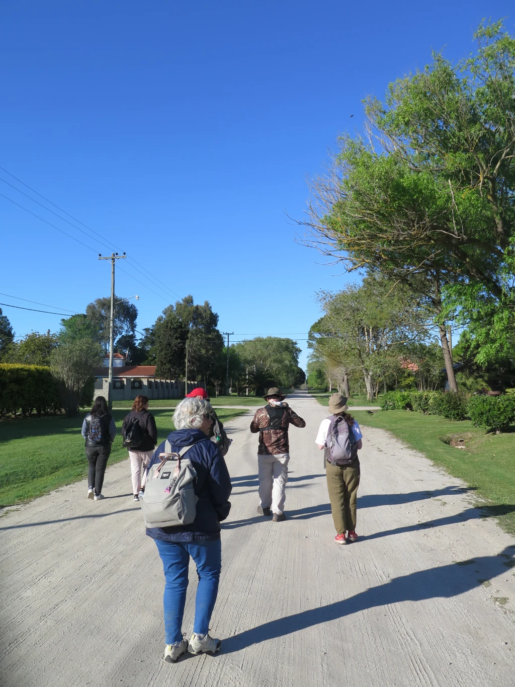 salida de observación de aves