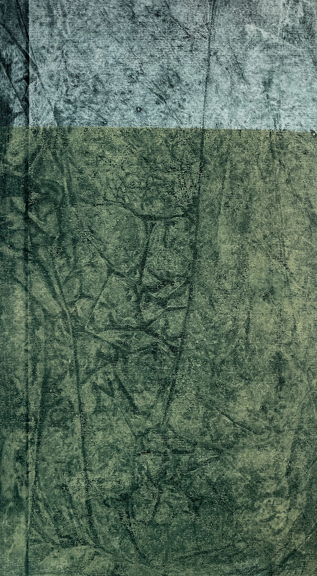 Monocopia I - 15cm x 30cm - 2023