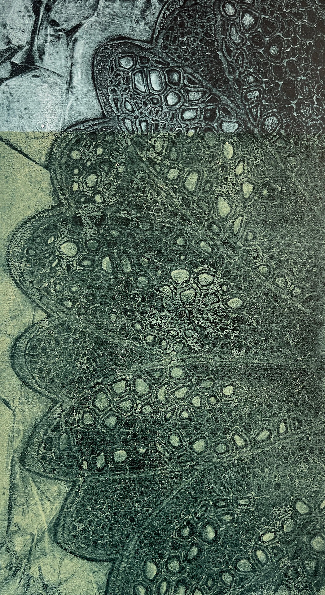 Monocopia II - 15cm x 30cm - 2023