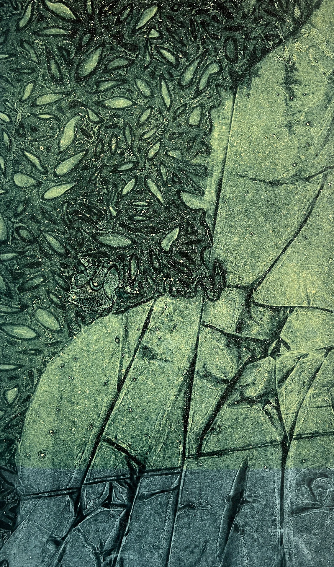 Monocopia III - 15cm x 30cm - 2023