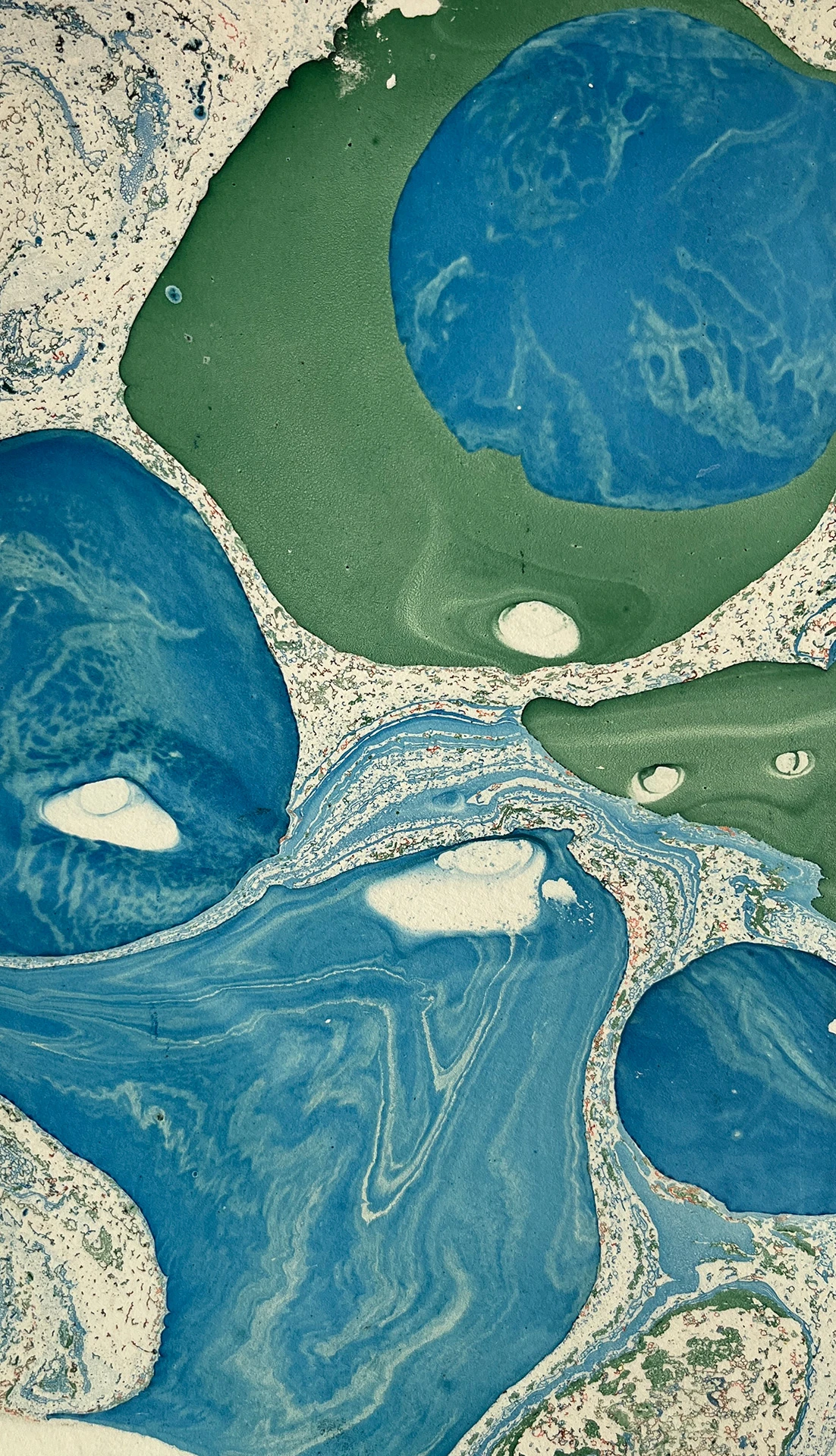 Monocopia XIII - 15cm x 30cm - 2023