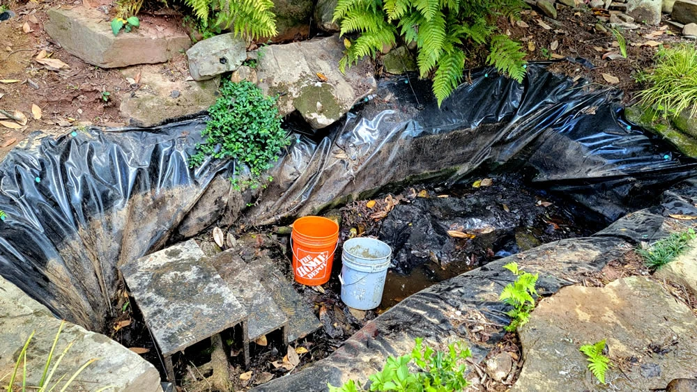 rebuilt and cleaning pond