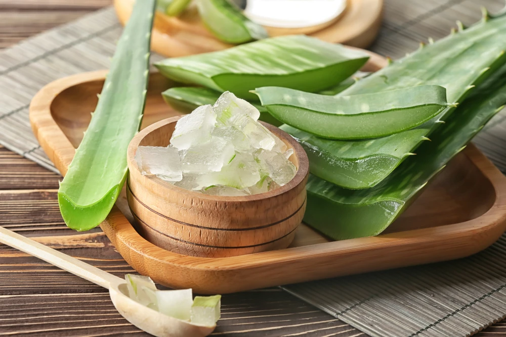 Pulpa de Aloe Vera para beber - Aloeplant 