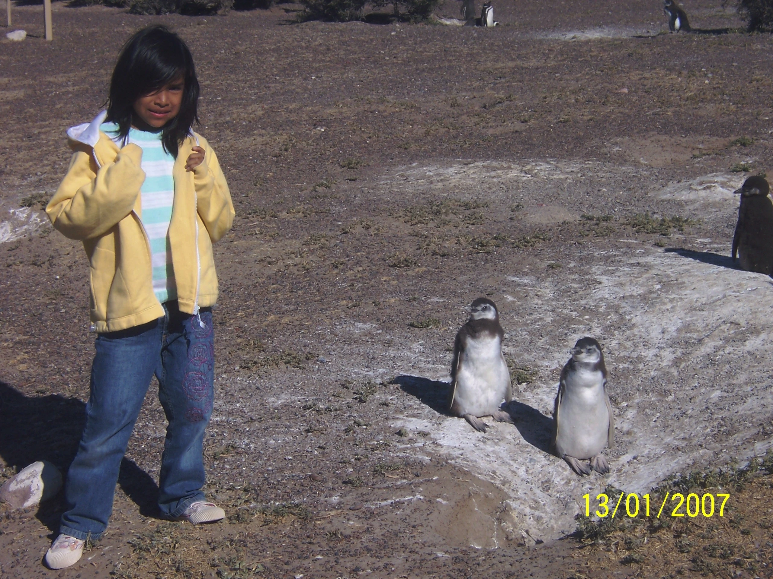 Punta Tombo Chubut