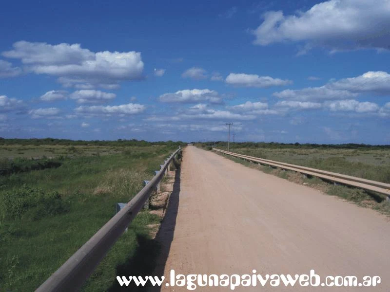 Camino a Campo Andino desde el puente