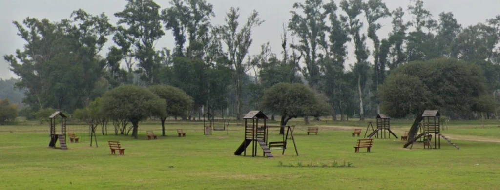 Bosque de Eucaliptos en Laguna Paiva