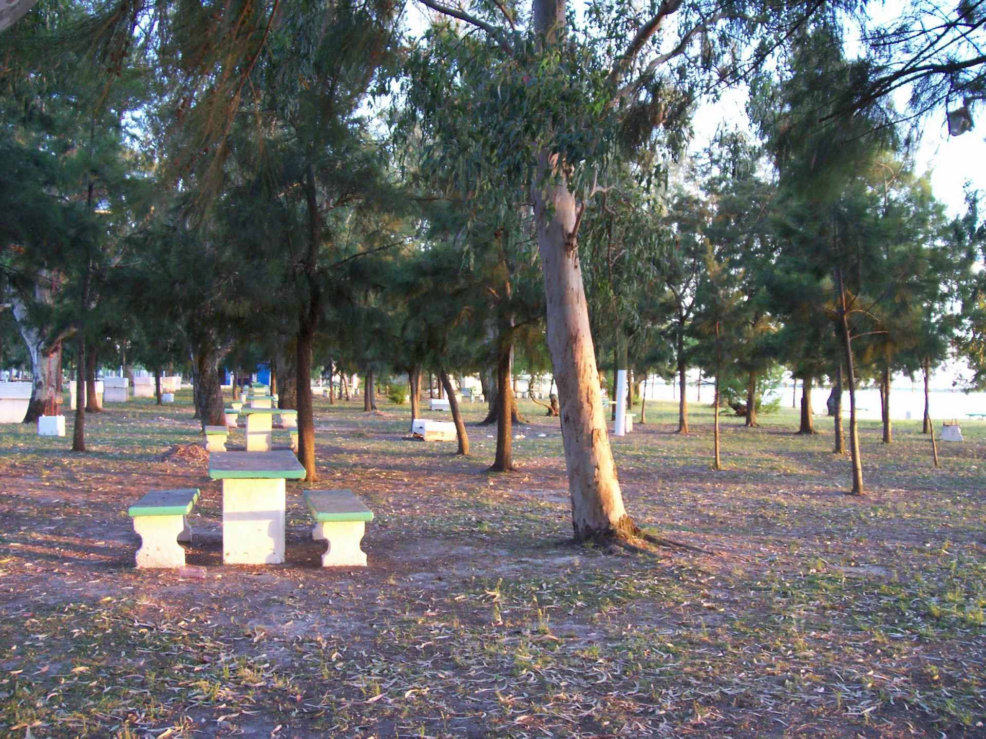 Balneario Municipal de Laguna Paiva