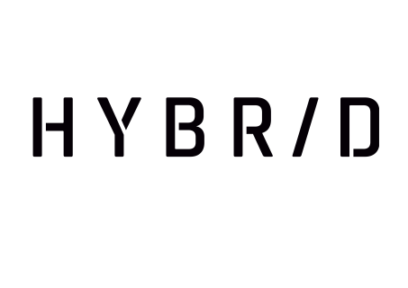 Hybrid Race