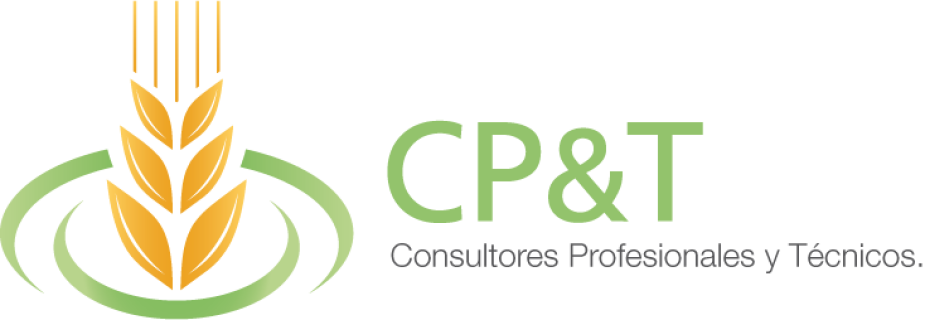CP&T Consultores Profesionales y Técnicos