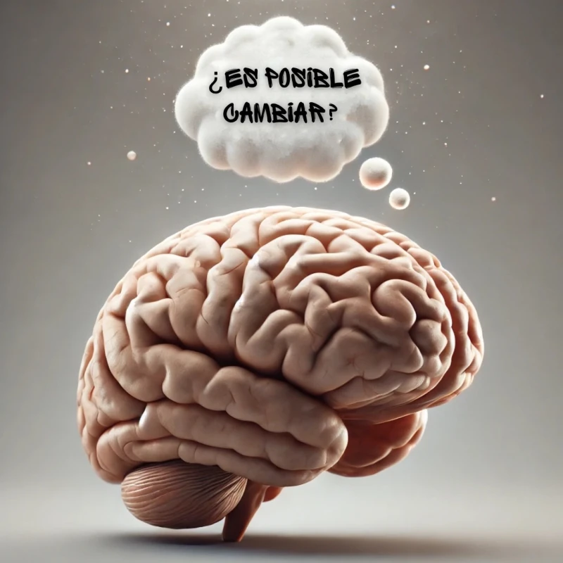 Cambio