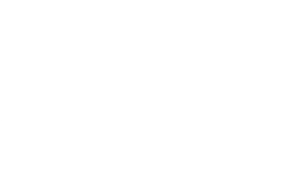 C-LEVEL network