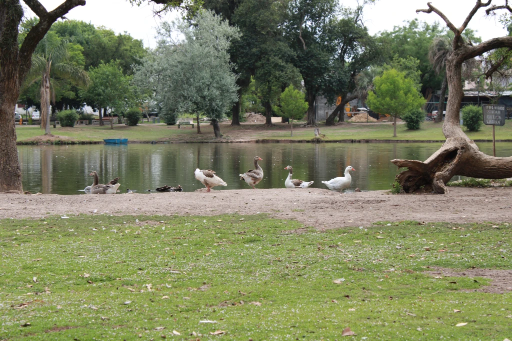 Parque Gazano