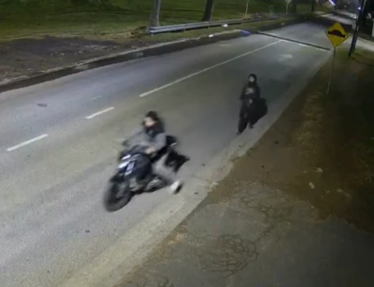 Intentaron robar una moto y cruzaron la Panamericana a pie: fueron detenidos