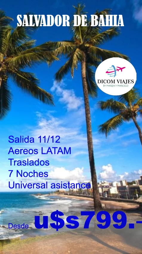 20241111bahia.webp