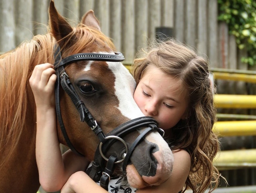 Ponies