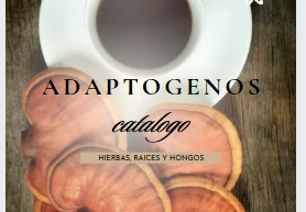 🌱 Catálogo de Adaptógenos: Hongos, Hierbas y Raíces para Tu Bienestar Natural