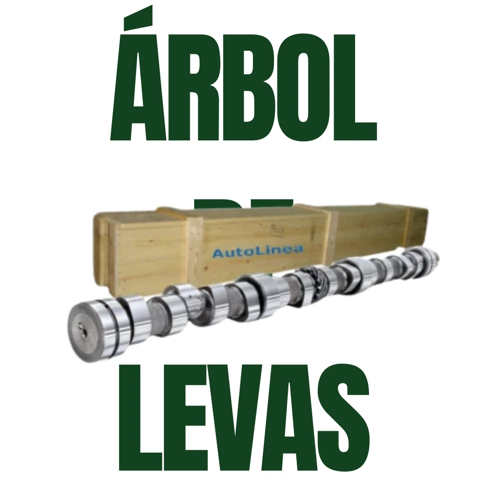 Arboldelevas-(9605).webp