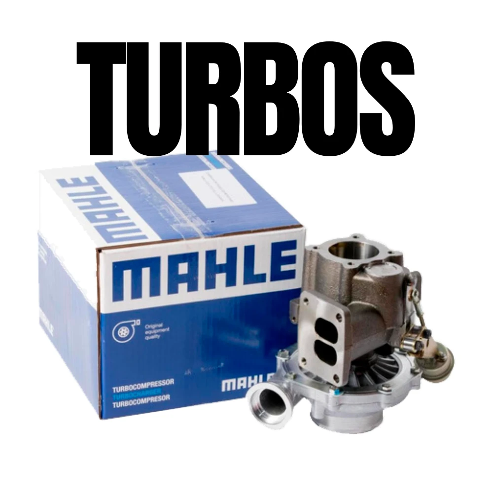 Turbos-(8748).webp