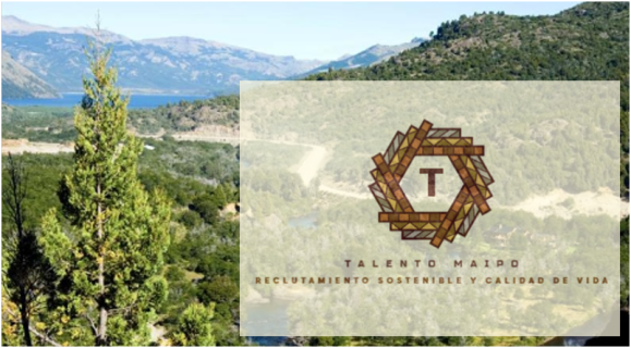 TALENTO MAIPO