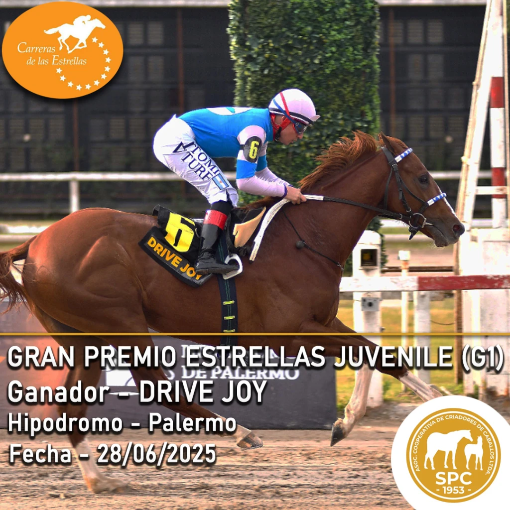 NewsletterTemporada2025-100.webp
