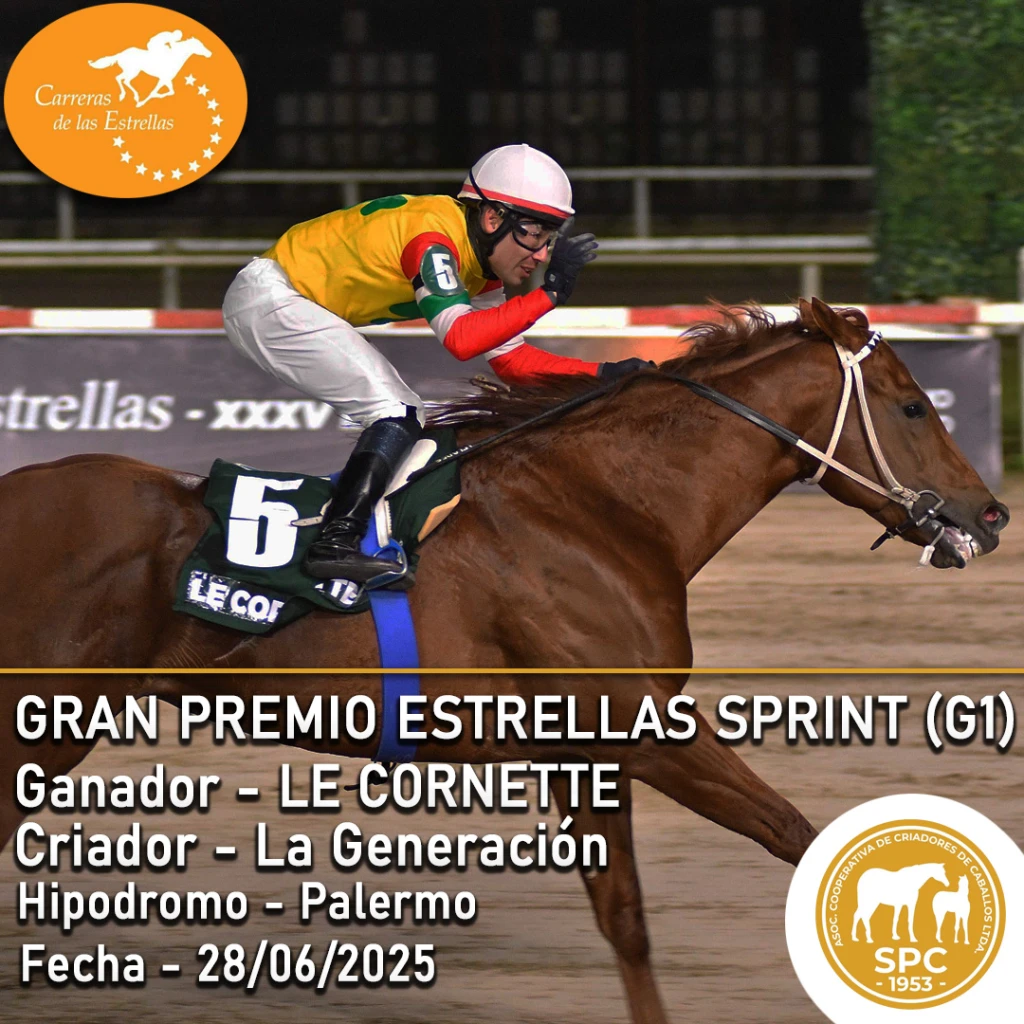 NewsletterTemporada2025-102.webp