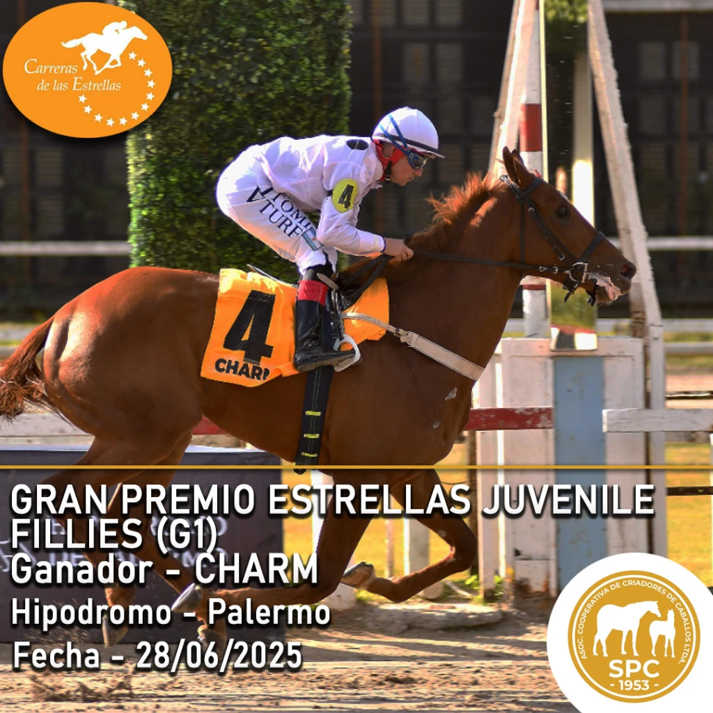 NewsletterTemporada2025-99.webp