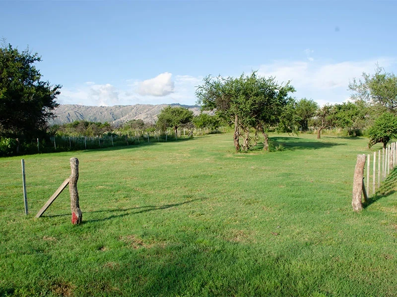 ayres-de-larca-item2.webp