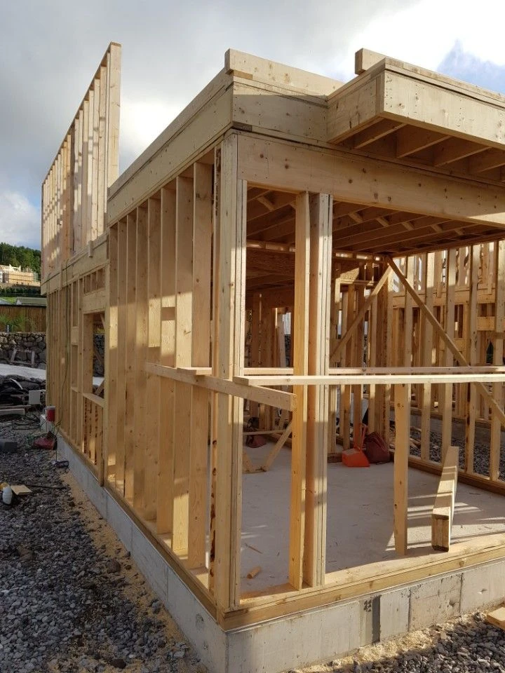 Estructura wood frame 