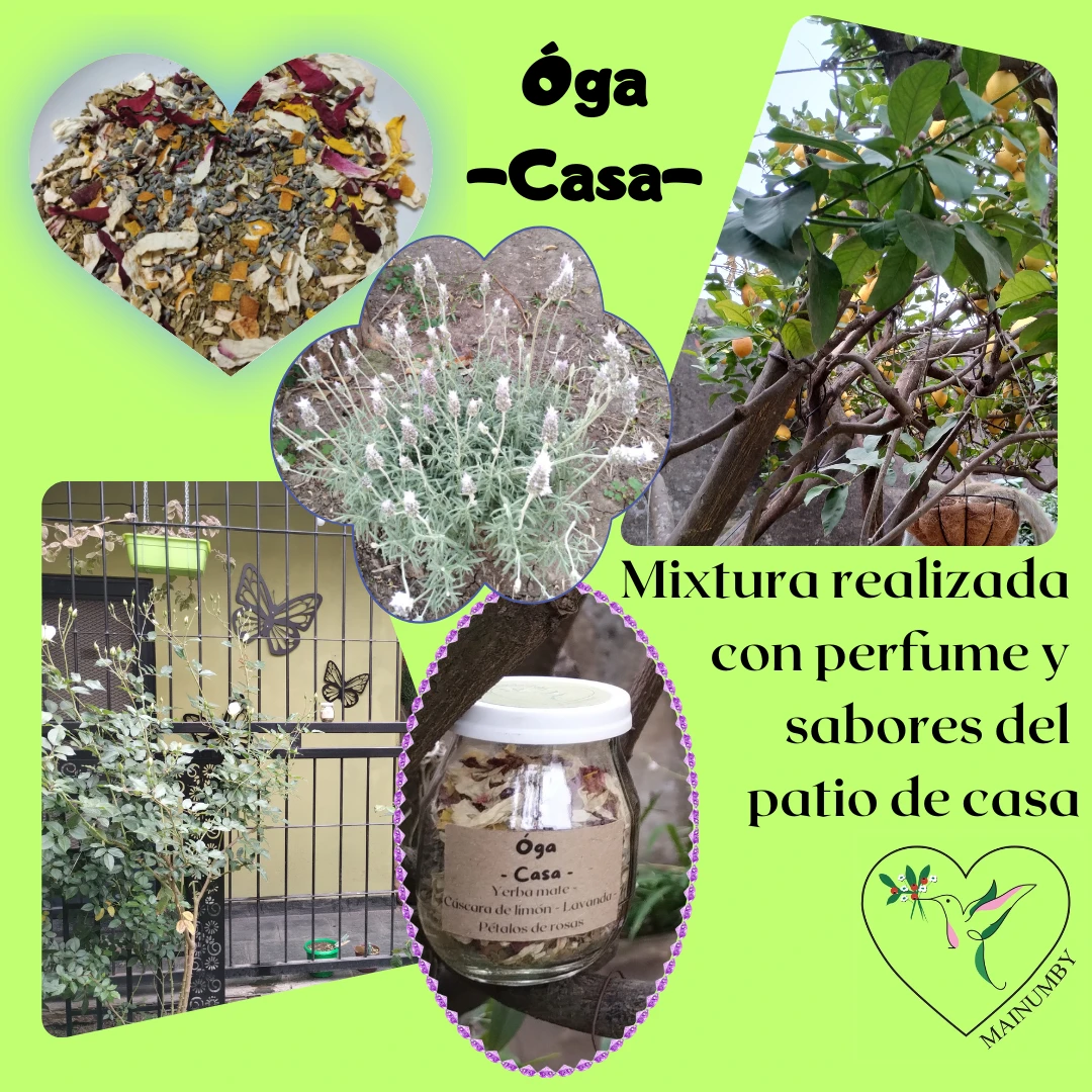https://ss-static-001.esmsv.com/r/content/host1/7859644ba9f173af2f8ba8857eb97138/editor/%C3%93ga%20--Casa-.webp