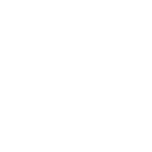 Vive Holístico