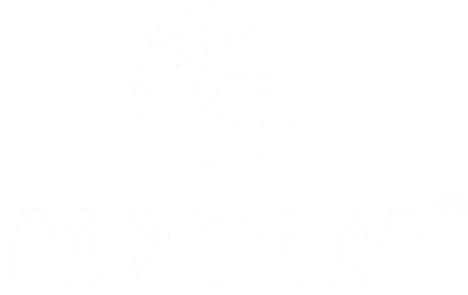 NUMUN