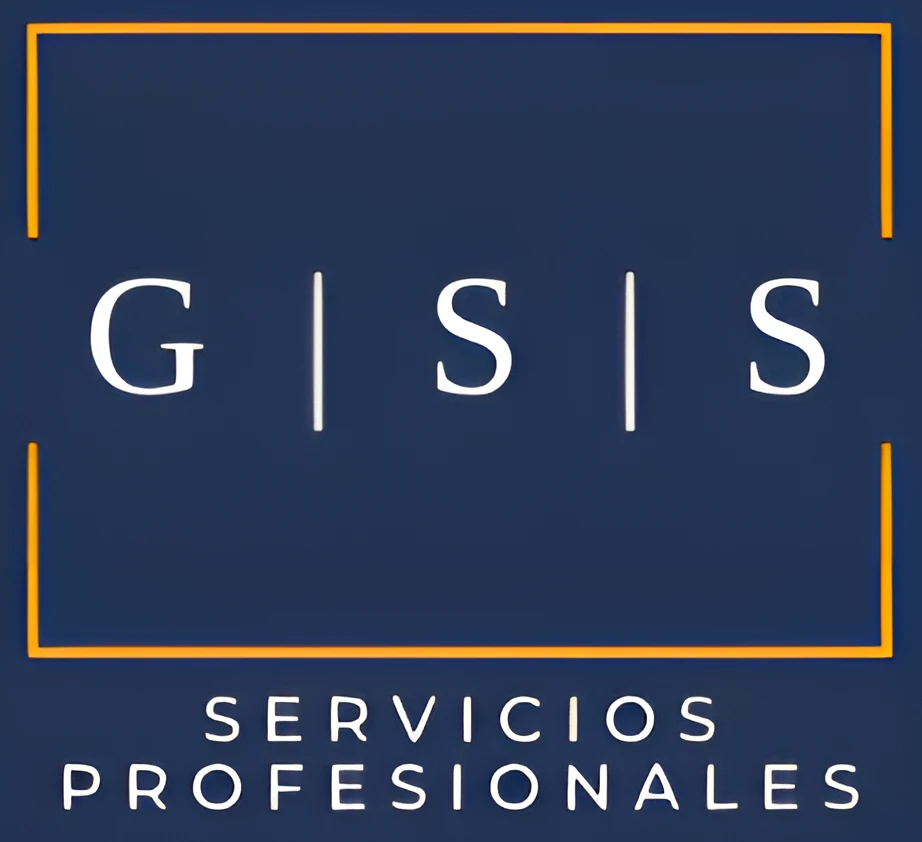 GSS Servicios Profesionales