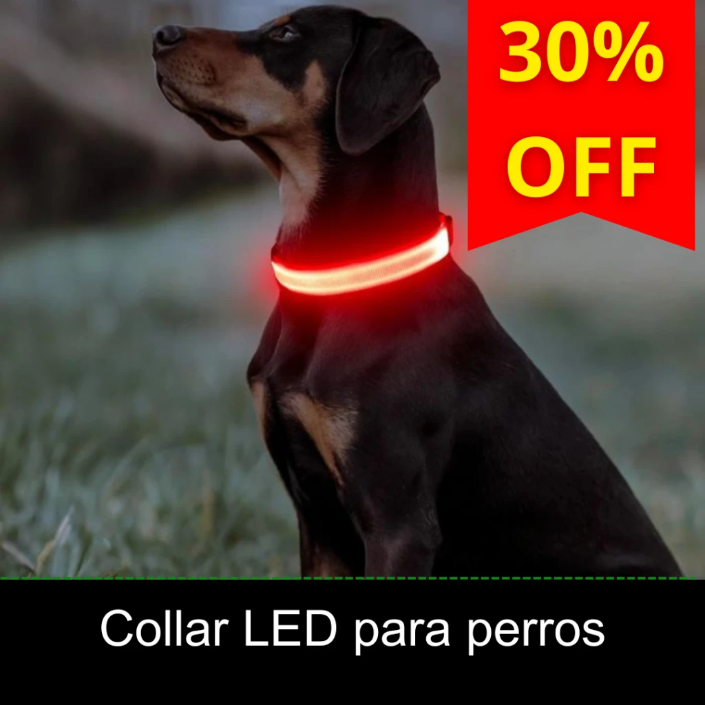 COLLARLEDPERRO.webp