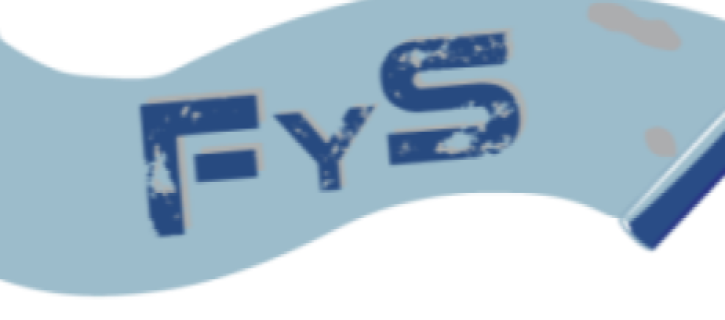 Rodillos FyS