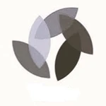kin.webp