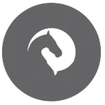 os.webp