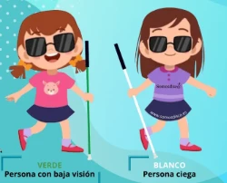 Estamos en la búsqueda de personas ciegas o con baja visión que deseen postularse para recibir un bastón de aluminio