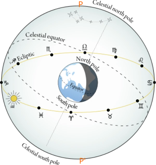 Signcusps-(8568).webp