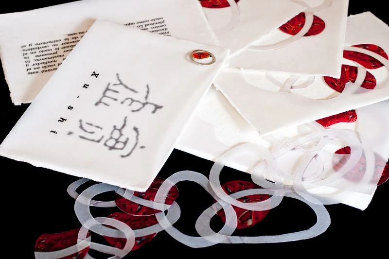 Xu-shi, detalle libro.