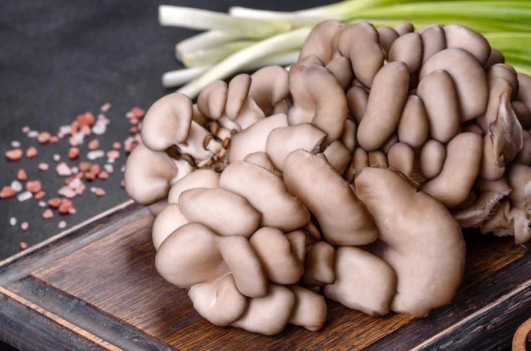 Las Maravillosas Gírgolas: una guía para cultivar, cocinar y disfrutar de este versátil manjar