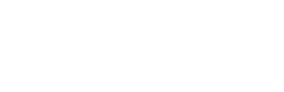 Academia Guarani
