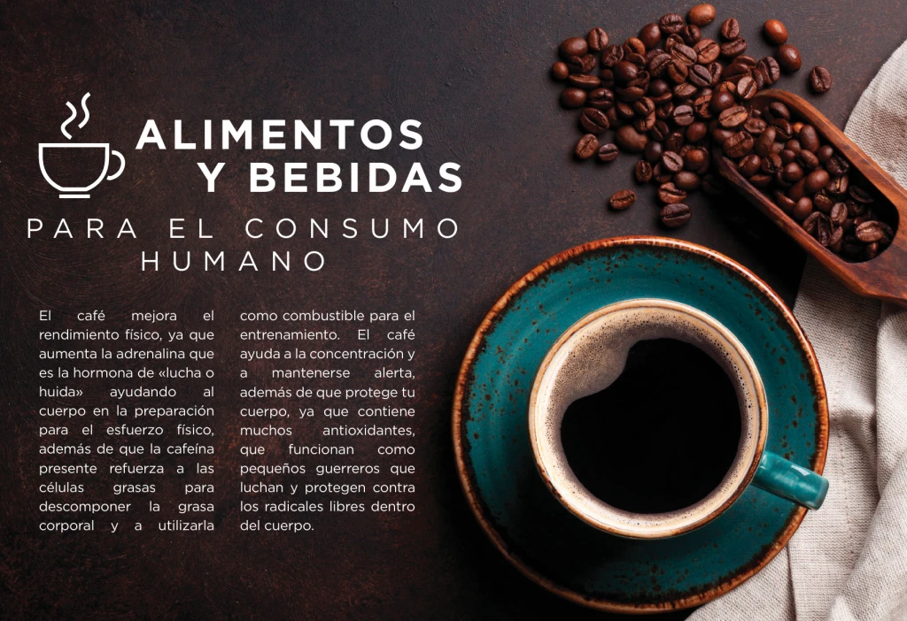 Alimentos bebidas