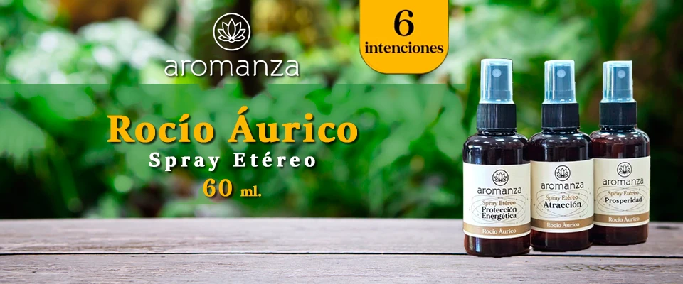https://ss-static-001.esmsv.com/r/content/host1/dc6f25f3b68e613bf8781371443cde69/editor/19_044742_rocio-aurico-002.webp
