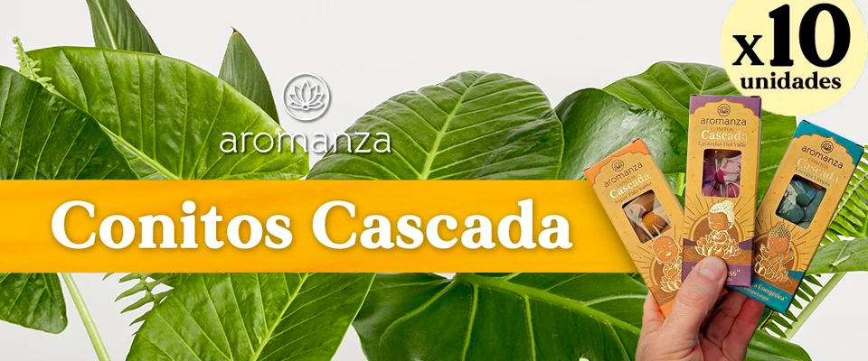https://ss-static-001.esmsv.com/r/content/host1/dc6f25f3b68e613bf8781371443cde69/editor/22_091844_conitos-cascada-2024.webp