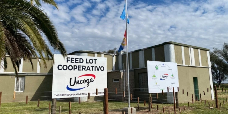 Inauguran el primer feedlot cooperativo del país para engordar los terneros holando de los tambos de la cuenca lechera de Córdoba y Santa Fe