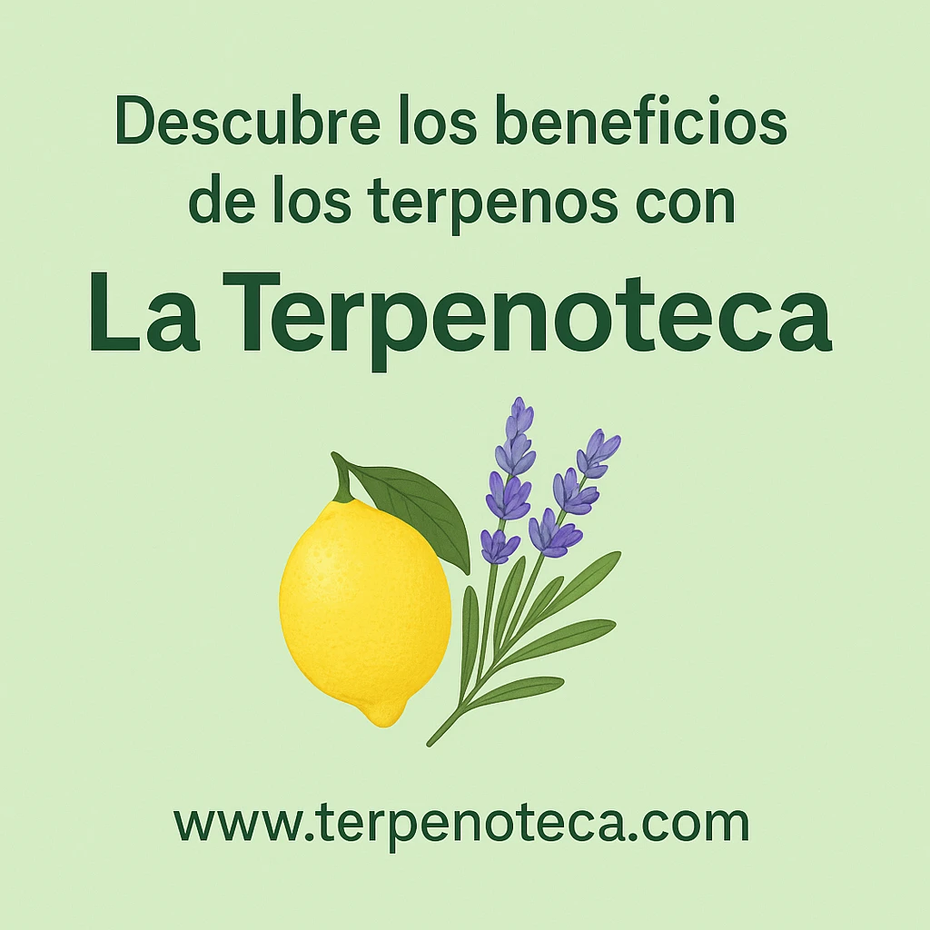 Terpenos naturales y sus beneficios | La Terpenoteca