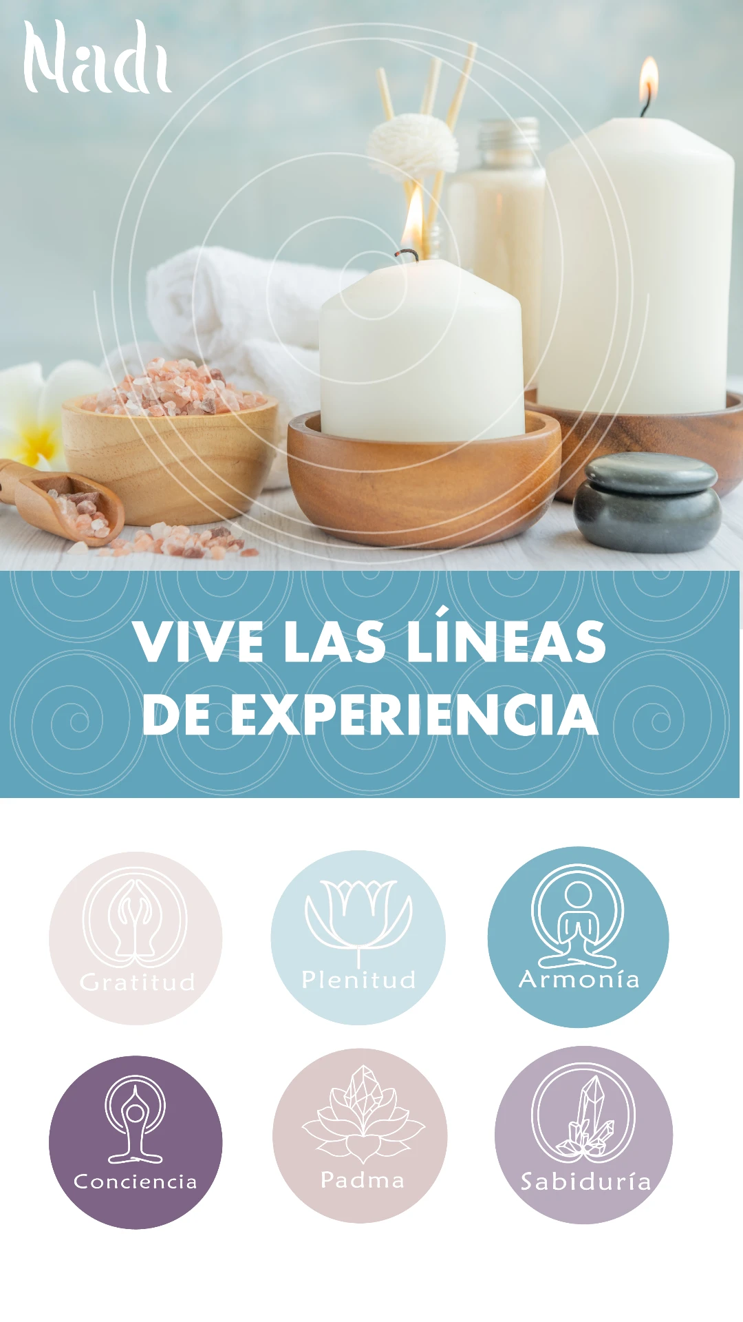 Líneas de Experiencia