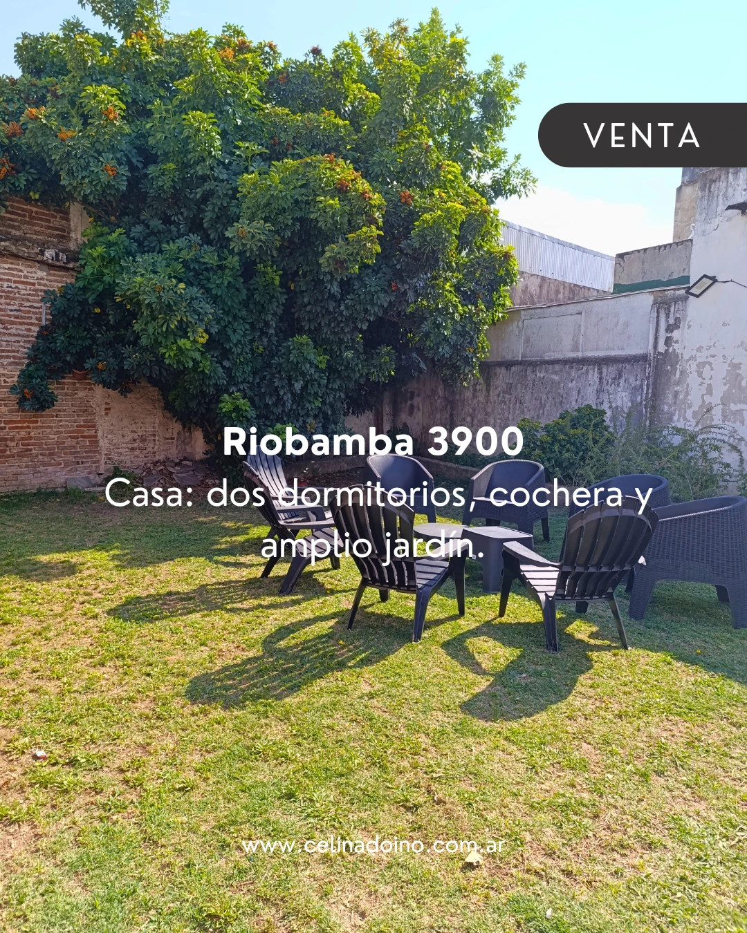 16-(4795).webp
