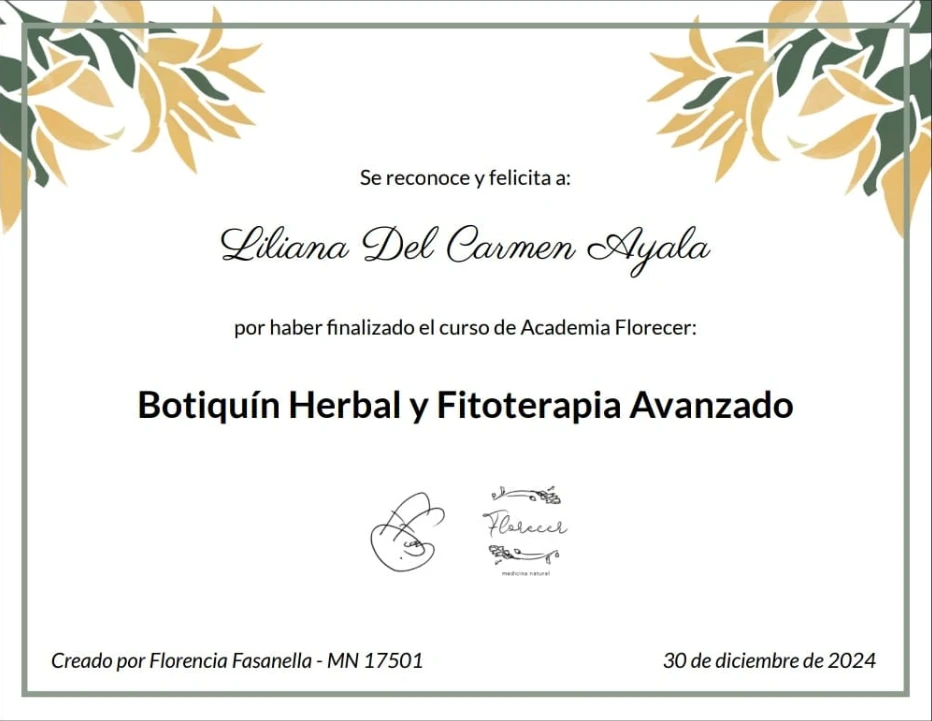 FITOTERAPIA.webp